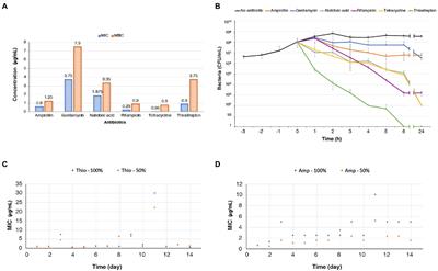 Thiostrepton, a resurging drug inhibiting the stringent response to counteract antibiotic-resistance and expression of virulence determinants in Neisseria gonorrhoeae